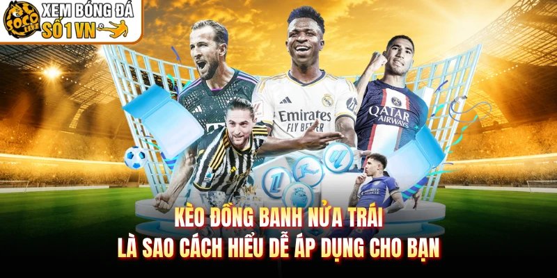 Kèo Đồng Banh Nửa Trái Là Sao Cách Hiểu Dễ Áp Dụng Cho Bạn
